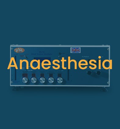 Clearance - Anaesthesia