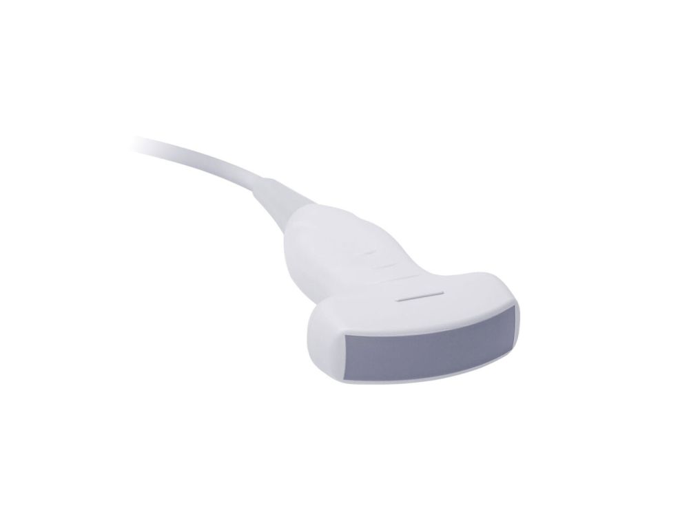 Draminski Low Frequency Convex Probe