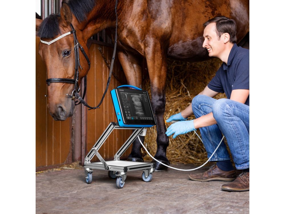 Draminski BLUE Portable Ultrasound System - Small Animal Package