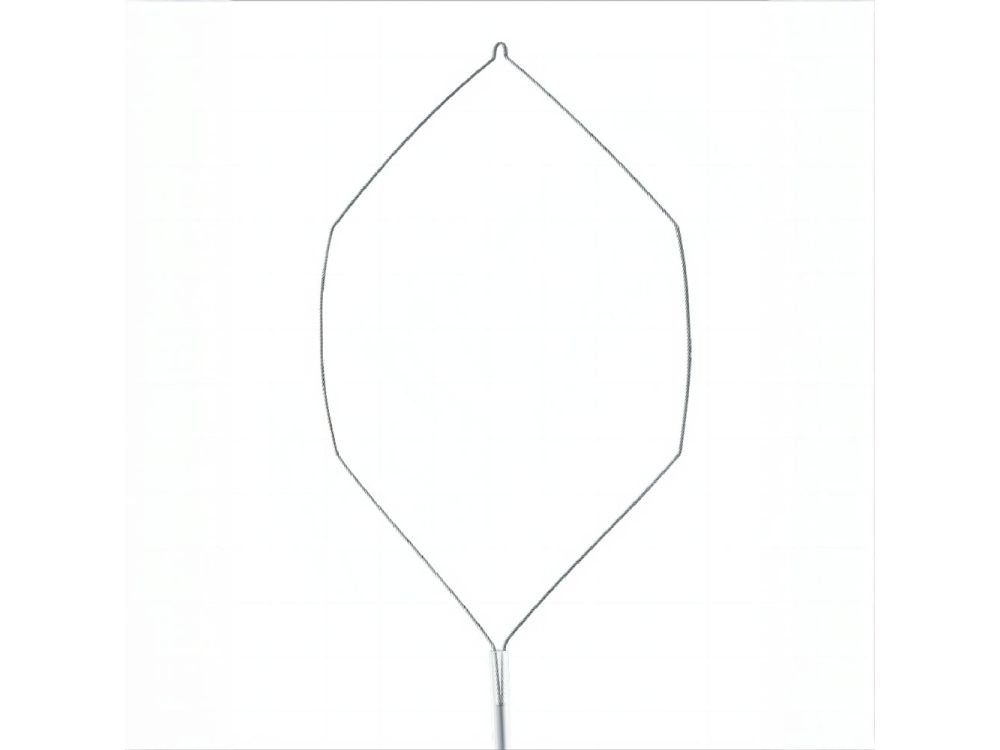 Kingwei Electrosurgical Snare