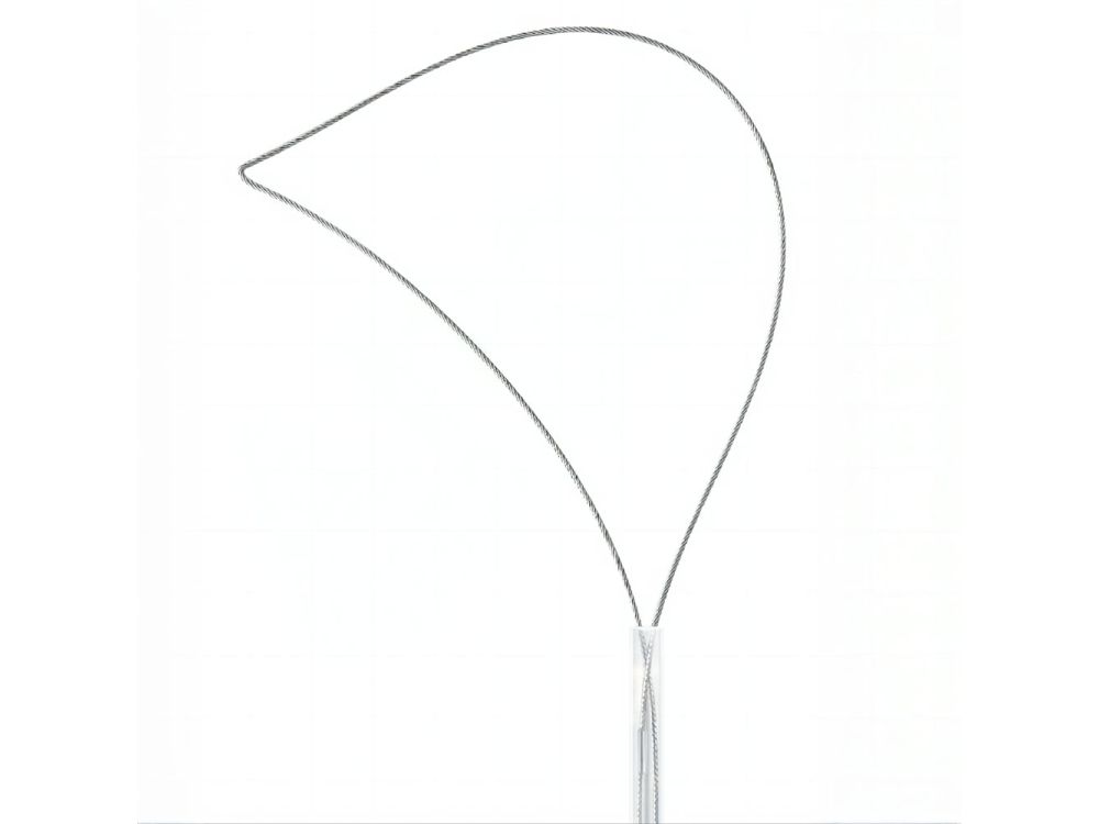 Kingwei Electrosurgical Snare