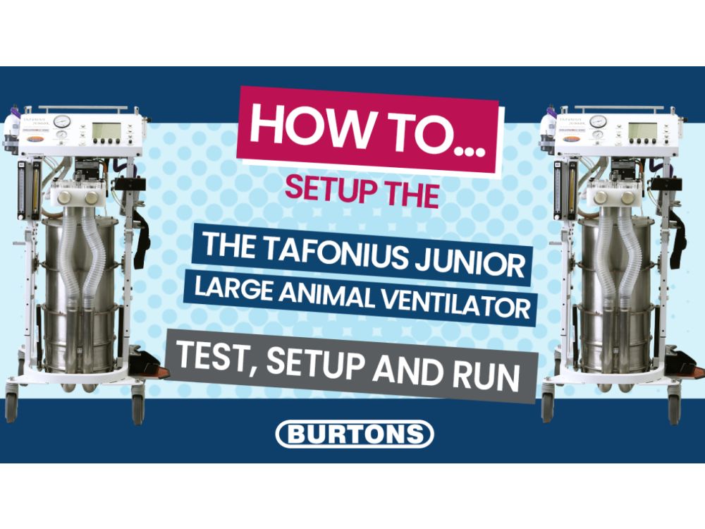 Tafonius Junior Large Animal Ventilator