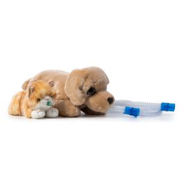 Annequin For Anaesthesia Training