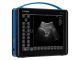 Draminski BLUE Portable Ultrasound System