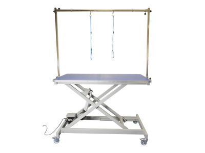 Burtons Electric Inclined-strut Grooming Table
