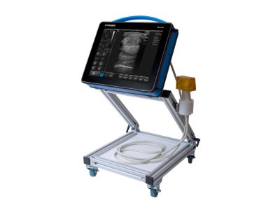 Wheeled Stand for Tendons Examination