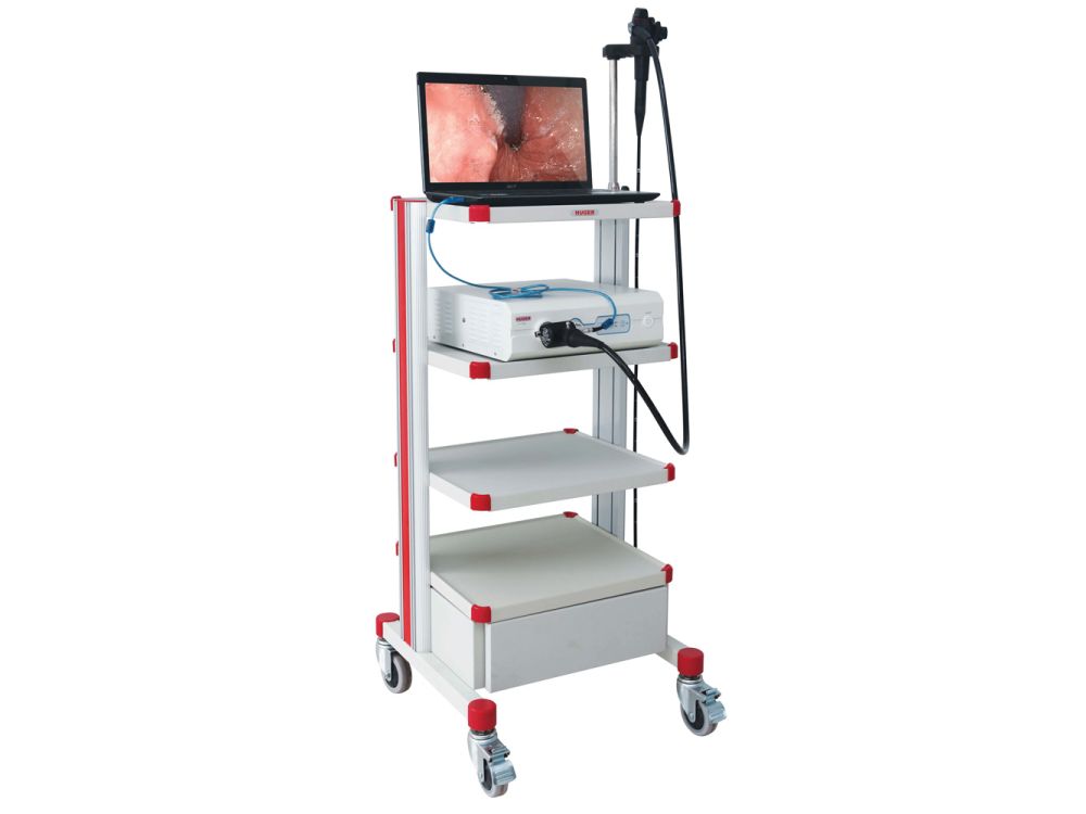 Huger Endoscopy Cart