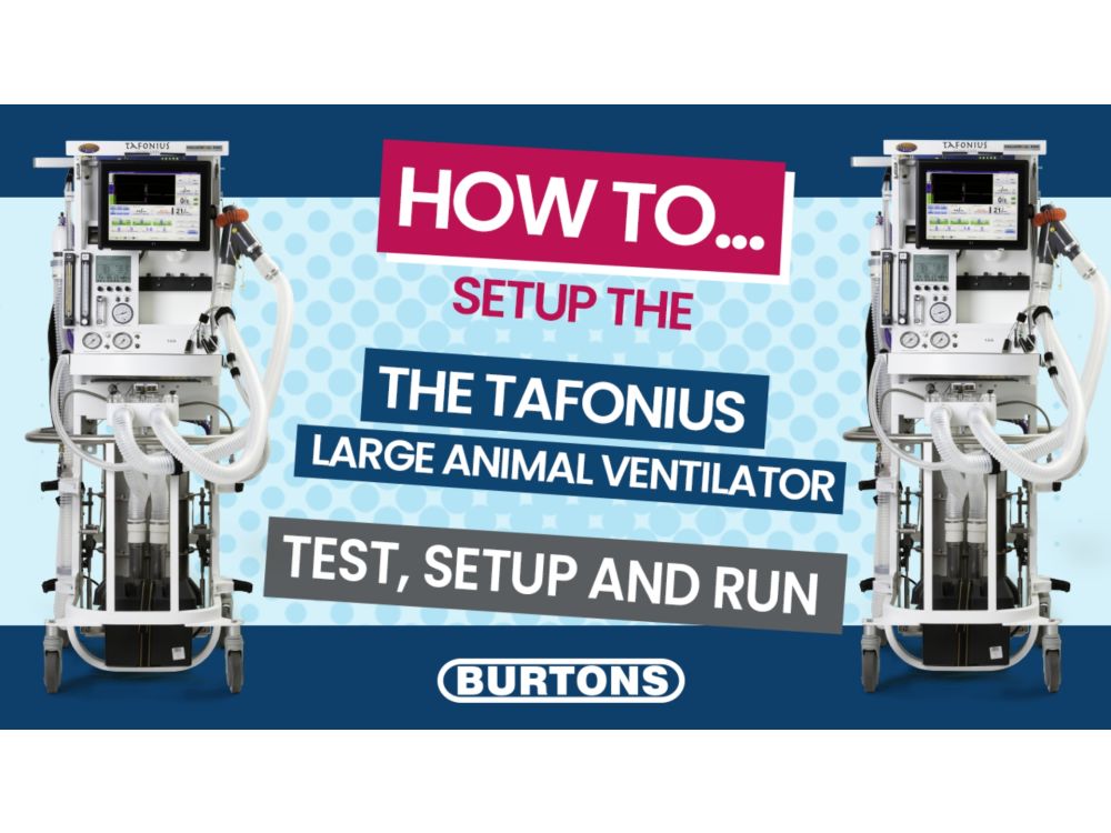 Tafonius Large Animal Ventilator