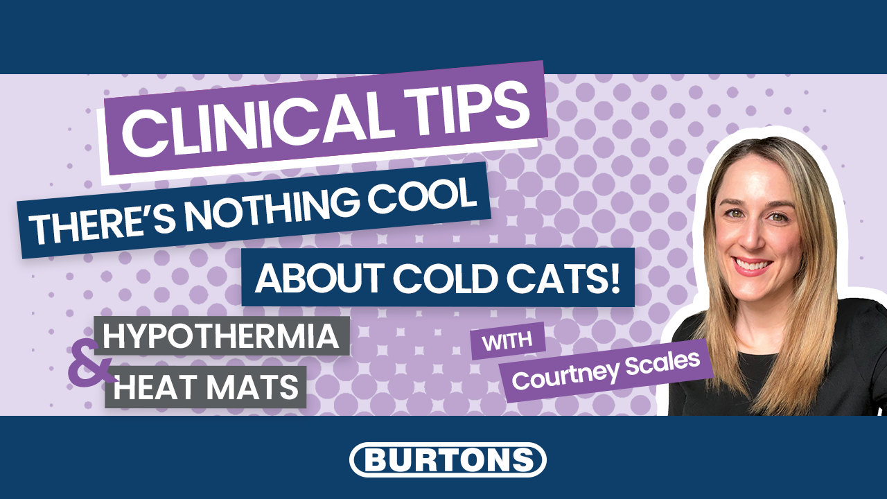 Clinical Tips - Hypothermia & Heat Mats