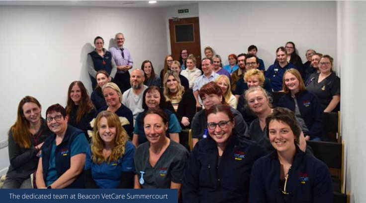 The dedicated team at Beacon VetCare Summercourt